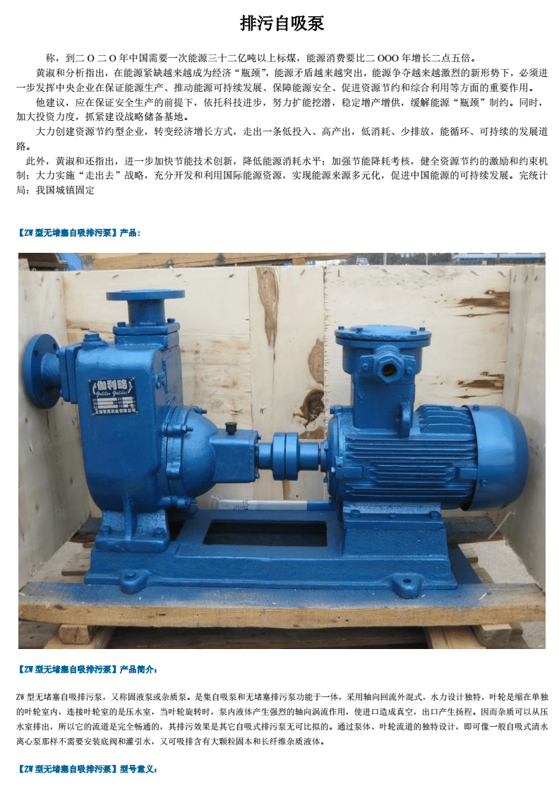 排污自吸泵 封闭水域管理的自动化解决方案——基于《自吸泵.pdf》的技术解析与产品选型未来趋势
